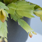 Arranjo De Flor De Maio Toque Real No Vaso Cumbuca Cinza | Fo